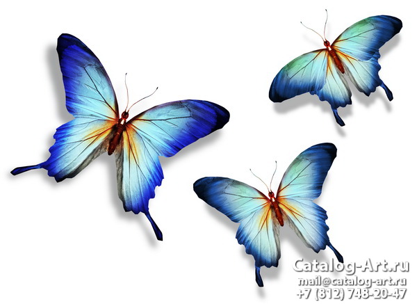  Butterflies 46
